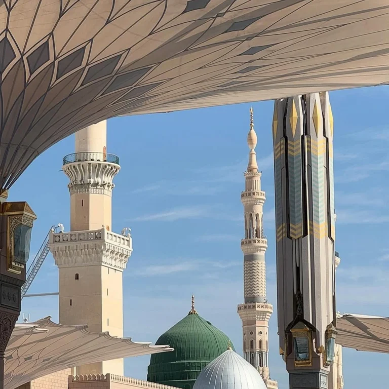 img 20250208 082228 184