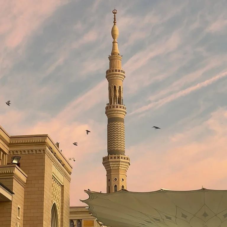 img 20250208 083143 758