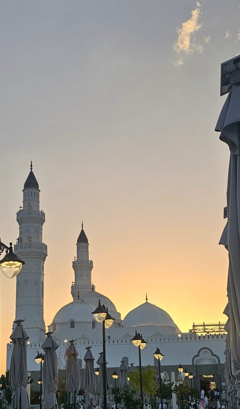 screenshot 20250320 181953 gallery